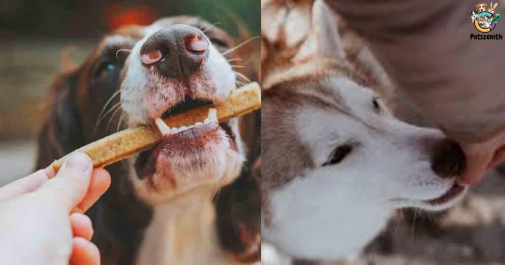 Can treats from the handler's mouth alleviate a dog's anxiety during training