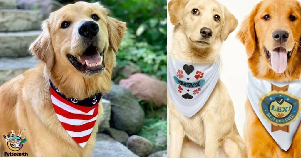 Dog Bandana will Make People Friendlier.