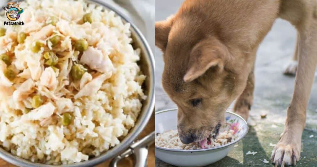 How Much Chicken & Rice for Your Dog? Perfect Portions!