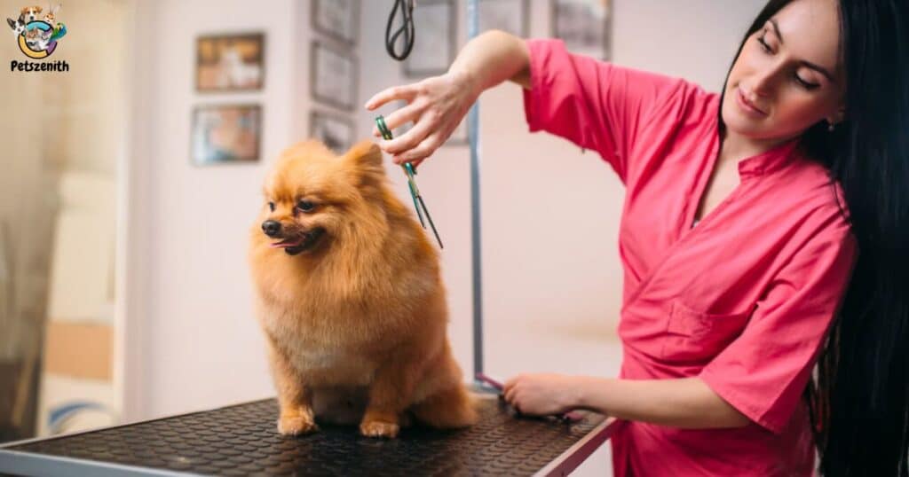 How Much Does Dog Grooming School Cost