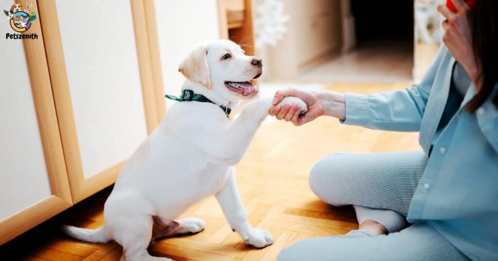 How do treats from the mouth reinforce desired behaviors in the dog?