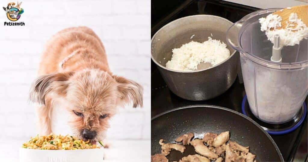 Mixing Chicken and Rice with Regular Dog Food