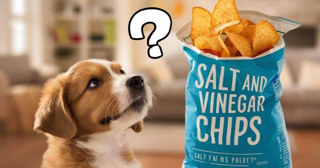 Can Dogs Eat Salt and Vinegar Chips Safely?