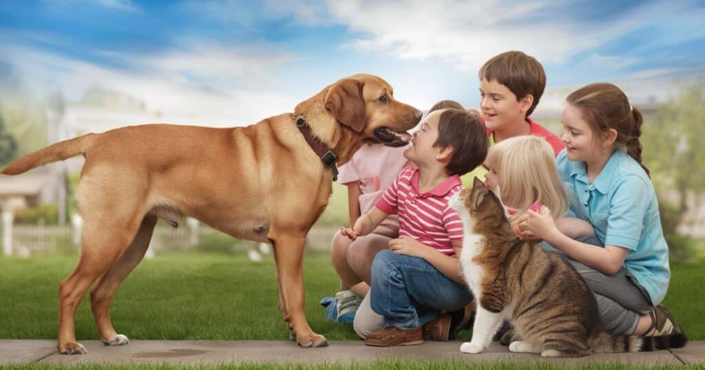 Mastador as a Family Pet: Suitability with Kids & Other Animals