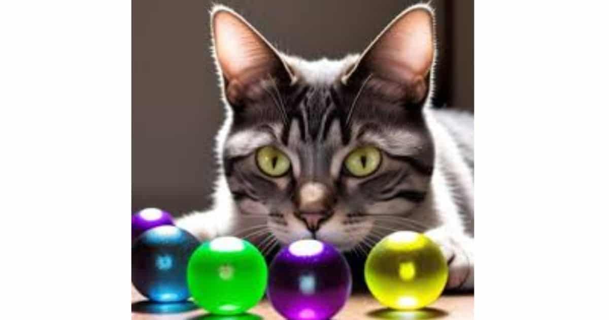 Are Orbeez Toxic to Cats?