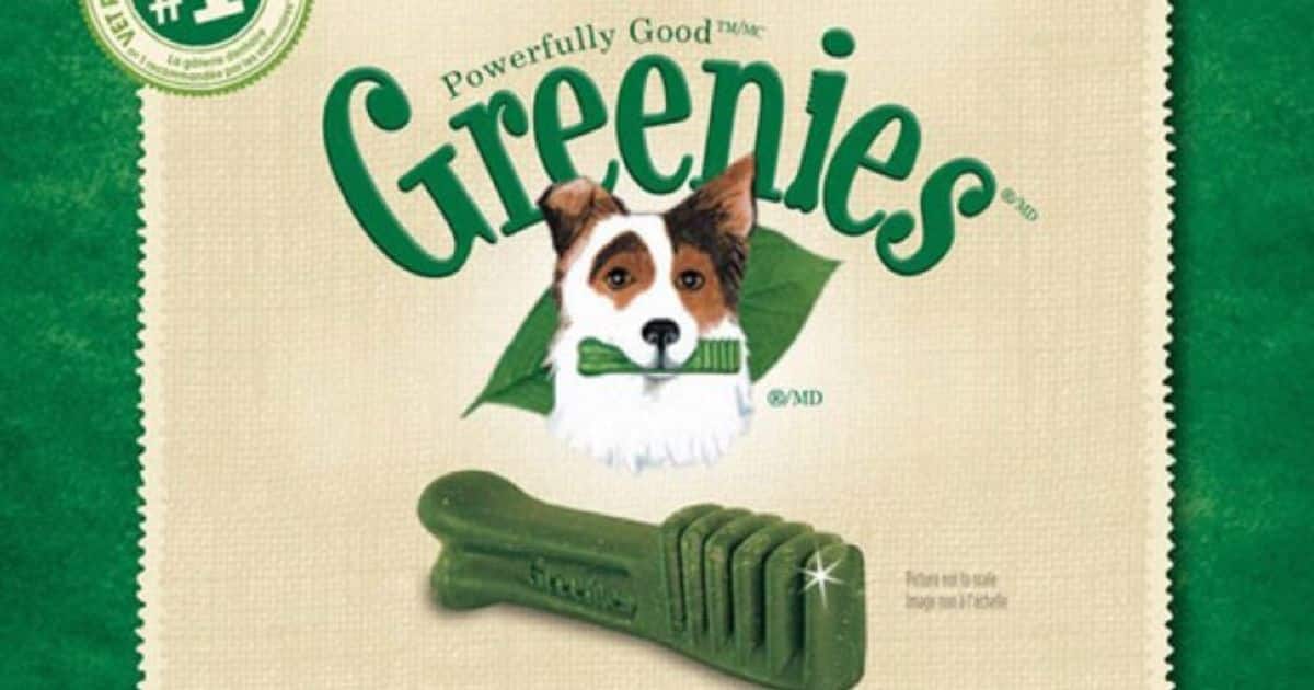 Do Greenies Cause Cancer in Dogs? Unraveling the Truth Behind the Treat