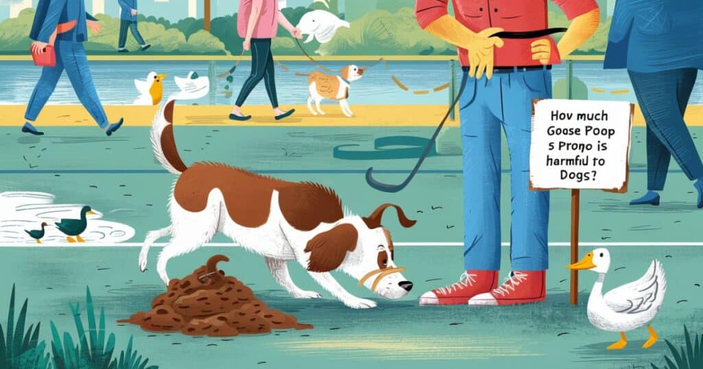 How Much Goose Poop is Harmful to Dogs