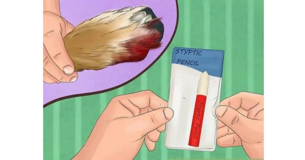 How to Stop Dog Nail Bleeding: A Comprehensive Step-by-Step Guide