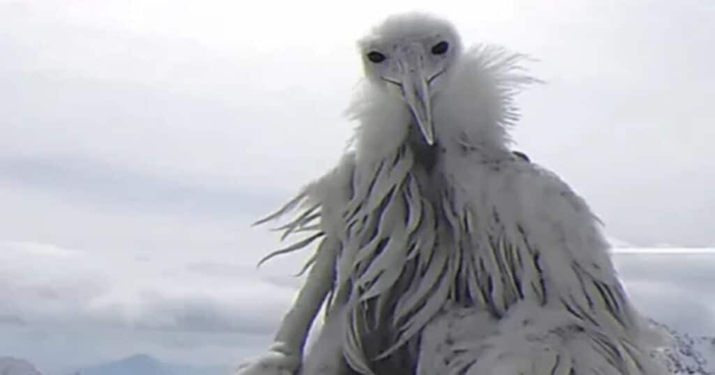 The Allure Of The Opium Bird Costume