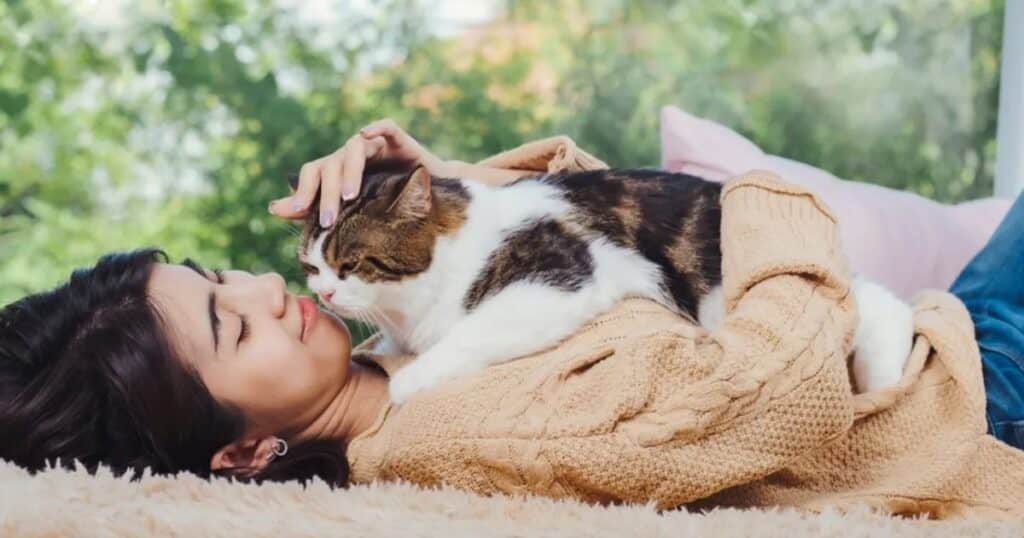 The Health Benefits of Cat Cuddling