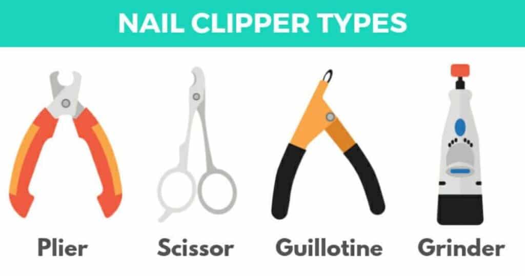 Types of Nail Grinders and Clippers