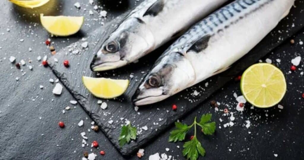 Fishing for Mackerel: From Ocean to Plate